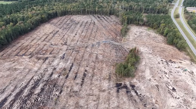 r l elliott logging and land clearing 75 acres in Charles City Virginia